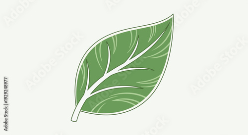 A single green leaf illustration against a white background