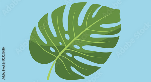 A single green leaf with holes against a pale blue background