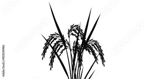 A black silhouette of a plant against a white background