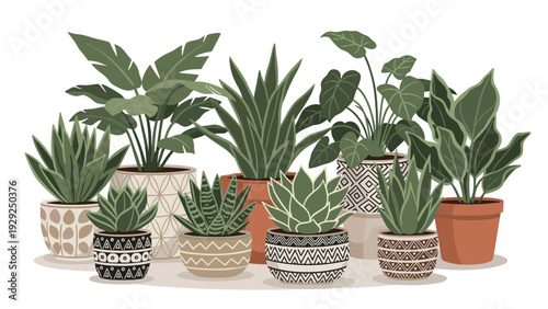 Rows of various indoor house plants in decorative ceramic pots with different leaf shapes and green foliage colors.