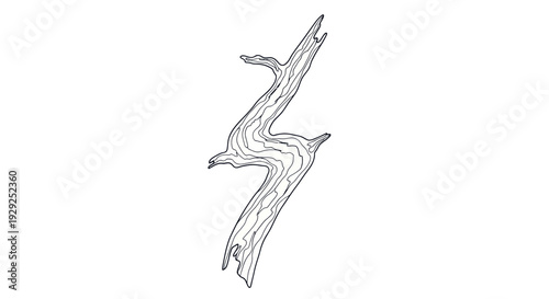 Detailed Driftwood Piece Isolated on White.
