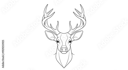 Deer Head Illustration with Antlers.