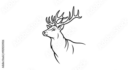 Deer Head with Antlers Illustration.
