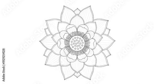 Detailed Lotus Flower Mandala Illustration.
