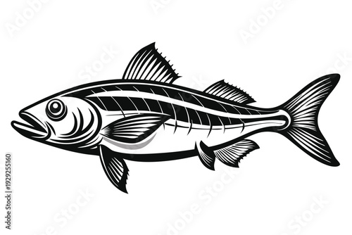 halibut silhouette line art vector illustration