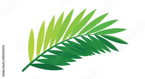 A stylized illustration of a palm frond with various shades of green