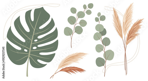 Collection of botanical elements including a monstera leaf, eucalyptus branches, and pampas grass plumes with abstract golden lines.