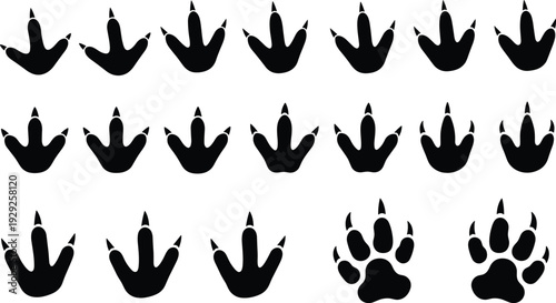 Collection of black animal track silhouettes, dinosaur bird footprints, predator paw print icons, isolated wildlife tracking vector set, outdoor nature elements.