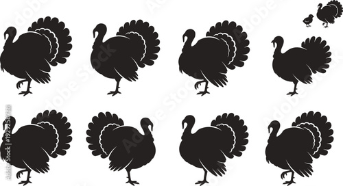 Black turkey silhouette set with farm bird icons, poultry vector collection for thanksgiving, autumn, agriculture, livestock and food industry theme design projects