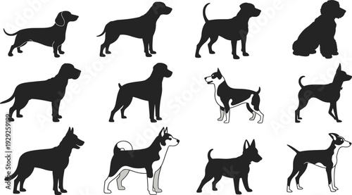 Collection of Dog Breed Silhouettes and Vector Illustrations Featuring Dachshund, Poodle, Husky, Terrier, and German Shepherd Icons for Pet Design Projects
