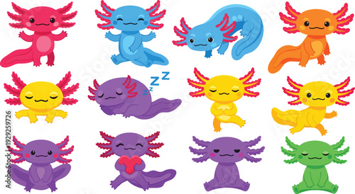 A collection of colorful axolotl characters displaying various poses and emotions in vibrant vector style