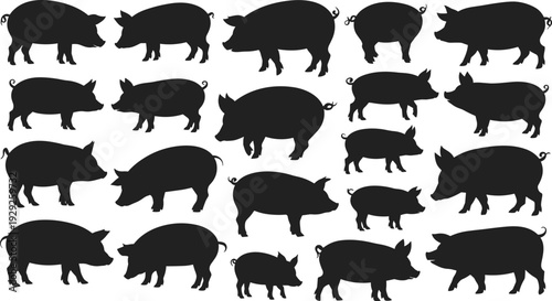 Collection of Farm Pig Silhouette Vector Illustrations Featuring Fat and Lean Hog Poses Standing and Walking for Agricultural Design Projects