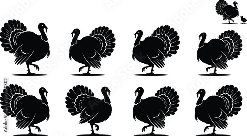 Black turkey silhouette set with farm bird icons, poultry vector collection for thanksgiving, autumn, agriculture, livestock and food industry theme design projects