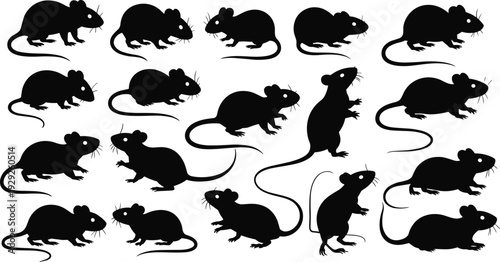 Collection of Rat and Mouse Silhouette Vector Illustrations Featuring Various Poses Standing Sitting and Running for Pest Control and Cartoon Design