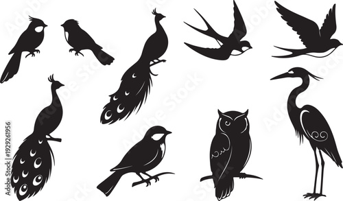 Set of 10 Black Bird Silhouettes Vector isolated PNG with Transparent Background