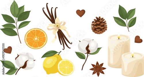Aromatherapy and wellness vector set with vanilla beans, citrus lemon slices, cotton flowers, pine cones, star anise, and scented candles for spa design.