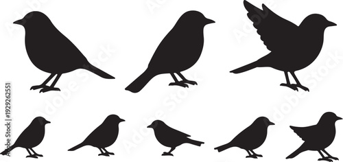 Set of 8 Black Bird Silhouettes Vector isolated PNG with Transparent Background