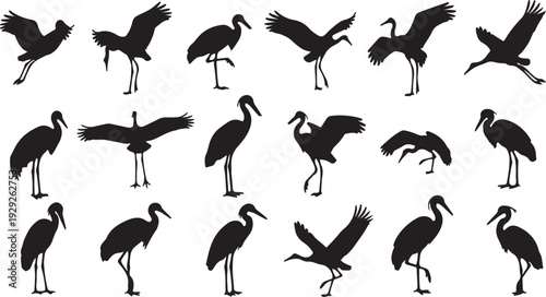 Set of 18 Black Crane Bird Silhouettes Vector isolated PNG with Transparent Background