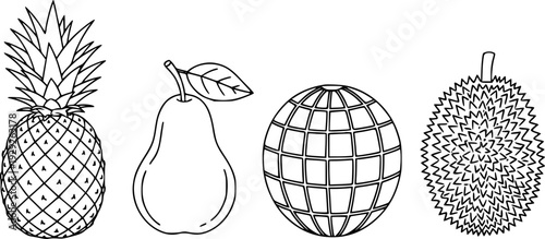 Line collection of pineapple pear globe and spiky durian fruit white background
