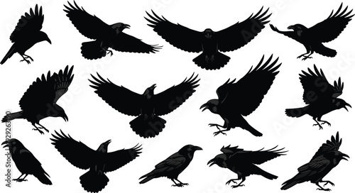 Flying, duck, silhouette, set, mallard, bird, flock, wildlife, nature, hunting, waterfowl, goose, wing, flight, icon, logo, animal, collection, vector, illustration, isolated, black, graphic