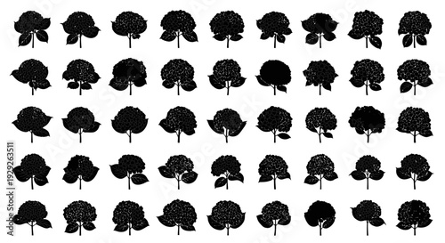 Collection of various black clover silhouettes on white background symbolizing luck and nature