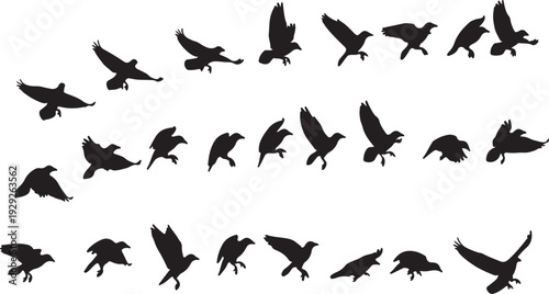 Set of 30 Flying Bird Silhouettes Vector isolated PNG with Transparent Background