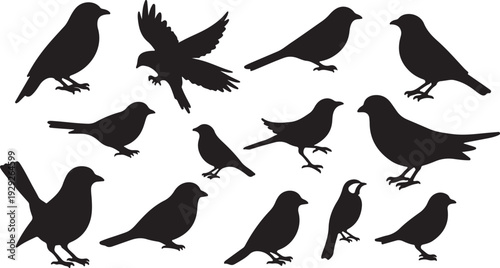 Set of 14 Black Bird Silhouettes Vector isolated PNG with Transparent Background