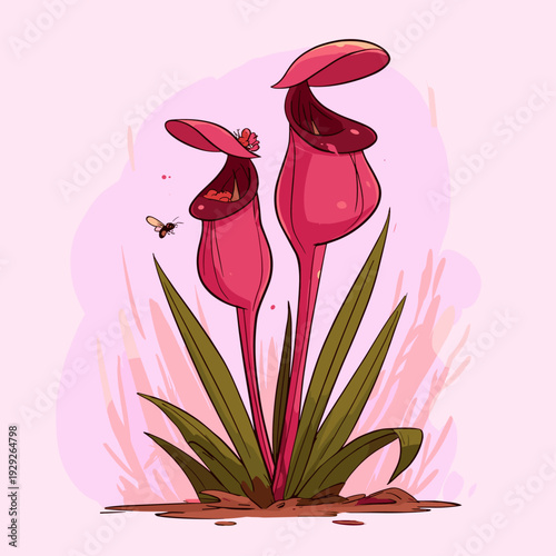 Minimalist Pitcher Plant Botanical Specimen Illustration