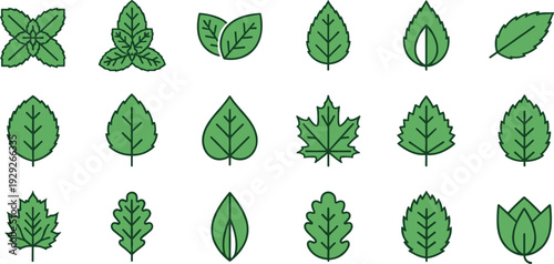 Set of green leaf icons, various foliage symbols, organic botanical vector elements, nature plant shapes, isolated eco friendly garden leaf collection.