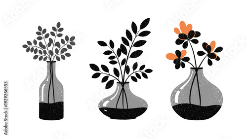 Three minimalist glass vases filled with water and different varieties of leafy branches and flowers for modern indoor home decor.