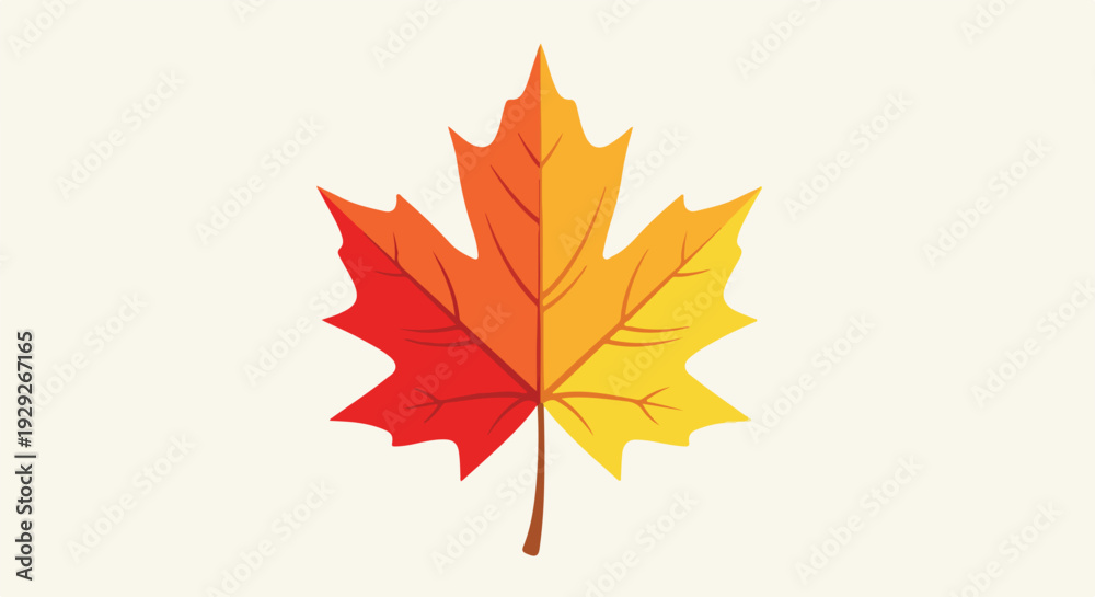Fototapeta premium A vibrant, colorful autumn leaf with a gradient effect on a cream background