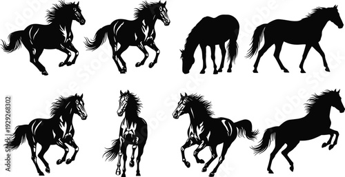 Horse silhouettes, equine vector illustration, running trotting grazing standing, animal anatomy art, dynamic movement design, CAD drawing flat vector illustration, graceful horse poses