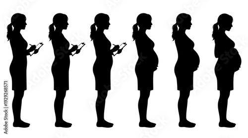 Pregnancy Stages Silhouette Vector Sequence