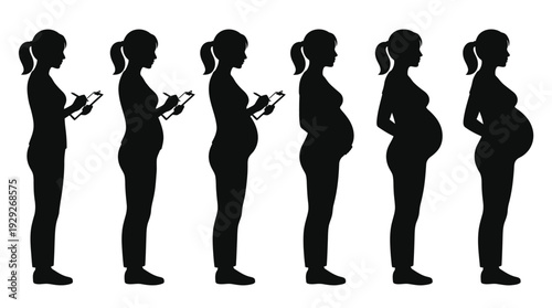Pregnancy Stages Silhouette Vector Sequence