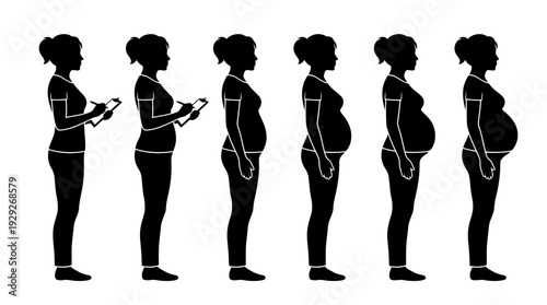 Pregnancy Stages Silhouette Vector Sequence