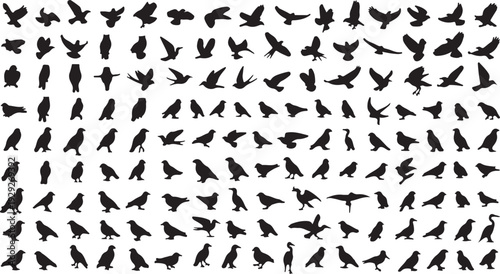 Set of 150 Black Bird Silhouettes Vector isolated PNG with Transparent Background