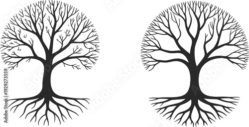 Capybara silhouettes collection, sitting, standing, lying, South American rodent, largest rodent species, wildlife vector illustration, animal behavior, nature design