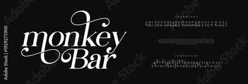 Monkey Bar, Elegant Font Uppercase Lowercase and Number. Classic Lettering Minimal Fashion Designs. Typography modern serif fonts regular decorative vintage concept. vector illustration
