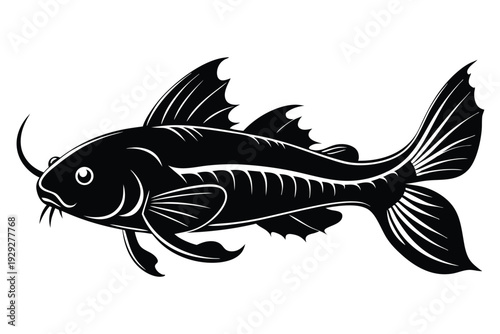 corydoras catfish silhouette line art vector illustration