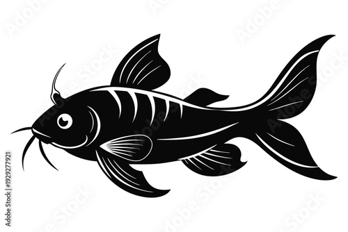 corydoras catfish silhouette line art vector illustration
