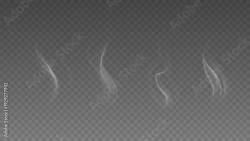 Smoke isolated on transparent background. Vector fog, vapor set.	