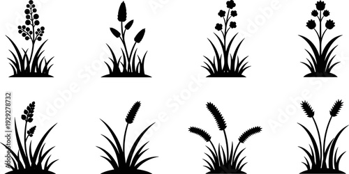 Collection of stylized black silhouettes of various grasses and wildflowers on a white background