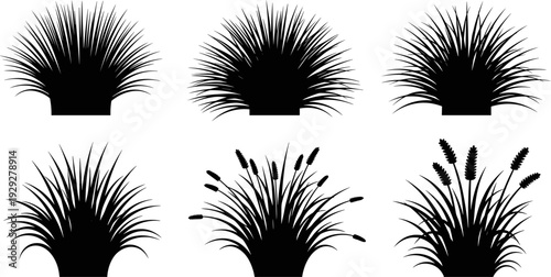 Collection of six black silhouettes of various types of grass and reeds