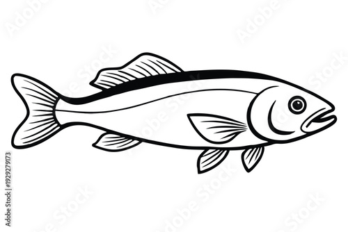 cod fish silhouette line art vector illustration