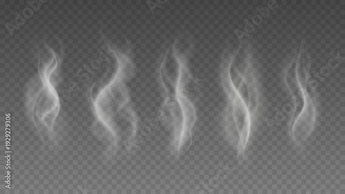 Smoke isolated on transparent background. Vector fog, vapor set.	