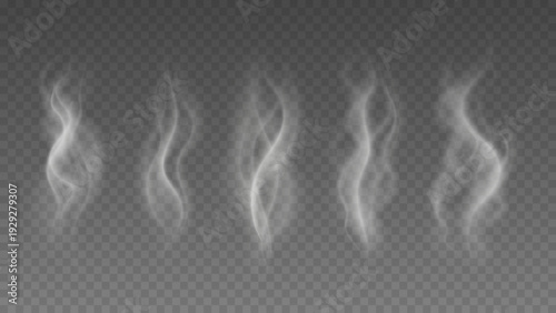 Smoke isolated on transparent background. Vector fog, vapor set.	
