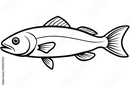 cod fish silhouette line art vector illustration
