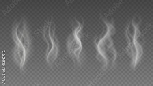 Smoke isolated on transparent background. Vector fog, vapor set.	