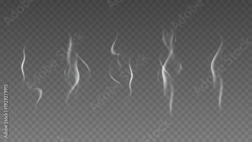 Smoke isolated on transparent background. Vector fog, vapor set.	