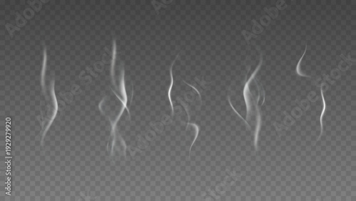 Smoke isolated on transparent background. Vector fog, vapor set.	